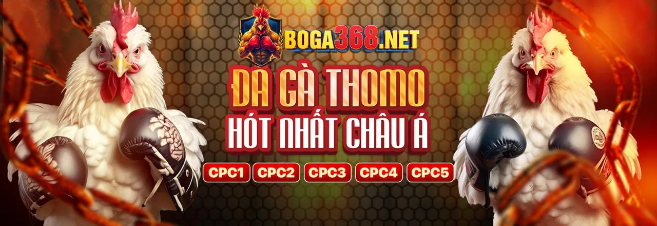 Bảo mật cao cấp và an toàn tuyệt đối